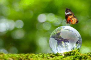 Projekt bez nazwy 2024 03 01T171241 556 300x200