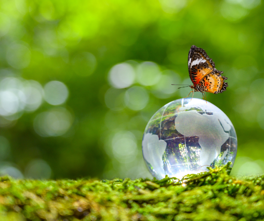 Projekt bez nazwy 2024 03 01T171241 556