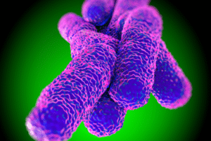 Projekt bez nazwy 2024 03 11T165214 833 300x200