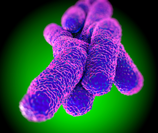 Projekt bez nazwy 2024 03 11T165214 833