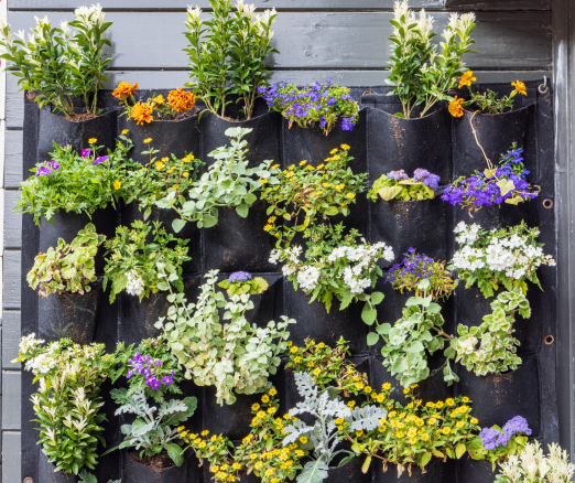 Projekt bez nazwy 2024 04 17T151839 900