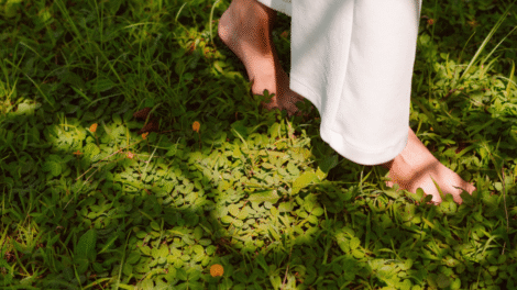 Projekt bez nazwy 29 470x264