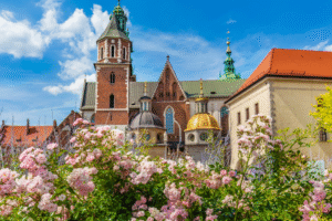 Projekt bez nazwy 61 300x200