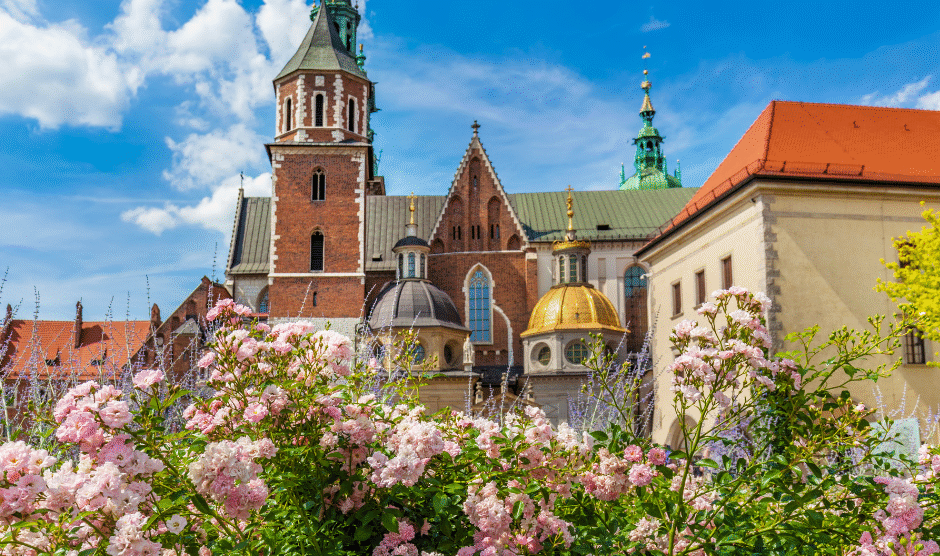 Projekt bez nazwy 61 940x556