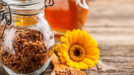 Projekt bez nazwy 81 470x264