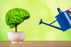 Sprawny mozg M 300x200