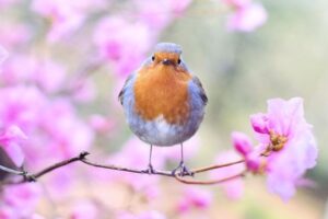 Wiosna jak odzyskac sily po zimowym przesileniu 300x200