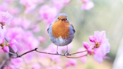 Wiosna jak odzyskac sily po zimowym przesileniu 470x264