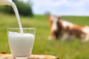 Zwiazek Mleka Krowiego z Cukrzyca Typu 1 M 300x200