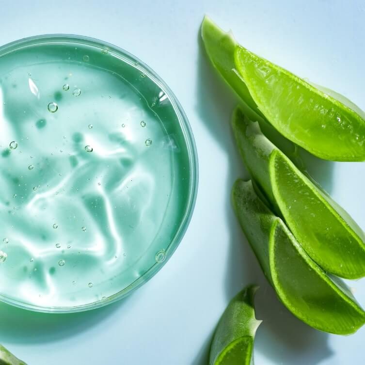 Aloes jako jeden ze składników