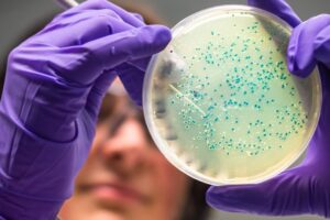 Analiza mikrobiomu jelitowego 1 300x200