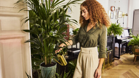 Batch 3  190704 Bloemen bureau RN 06 032 470x264