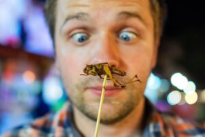 Chityna w jadalnych owadach M 300x200