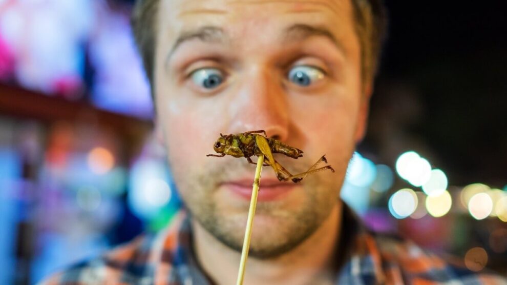 Chityna w jadalnych owadach M 990x556