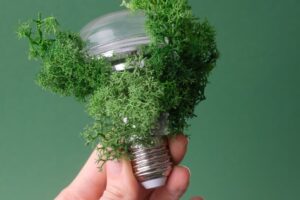 Energia emocji M 1 300x200