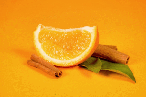 Fot  materialy prasowe 14 1 300x200