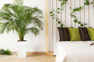 Fot  materialy prasowe 61 300x200