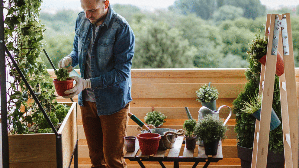 Fot  materialy prasowe 67 990x556