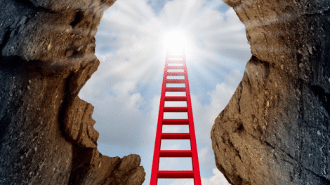 Fot  materialy prasowe 76 470x264