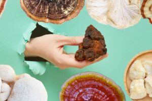 Grzyby adaptogenne M 300x200