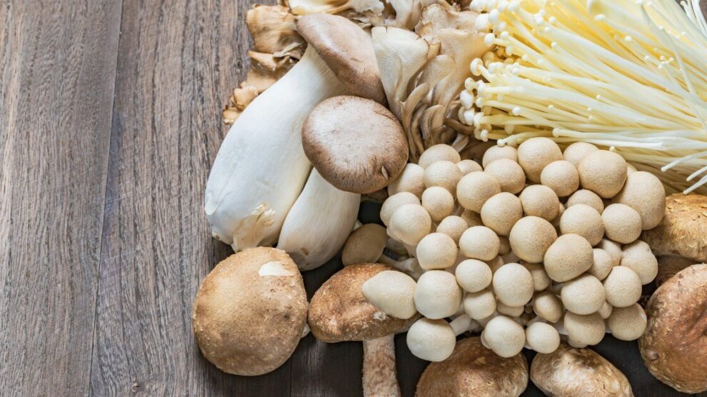 Grzyby w diecie 990x556