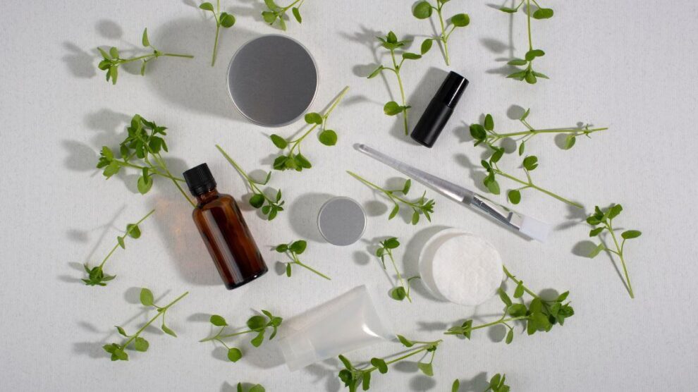 Gwiazdnica i tasznik 990x556