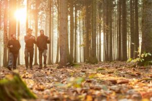 Kapiele lesne 300x200