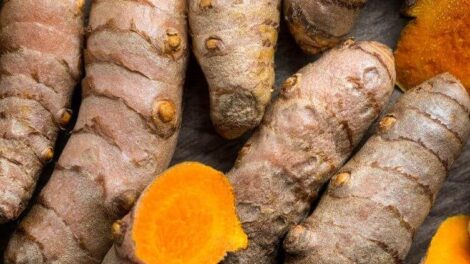 Kurkuma na odpornosc qyqbbqsk3k1qjzqedbq4k3rukx17pmeas5gr0q8dfk 470x264