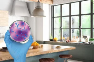 Mikroby w domu 300x200