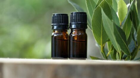 Olej laurowy zastosowanie i wlasciwosci 470x264