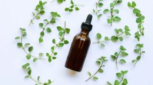 Olejek z oregano na pasozyty 300x168