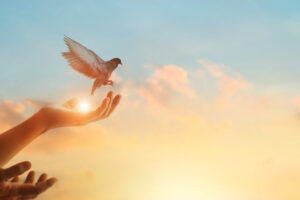 Reinkarnacja 1 300x200