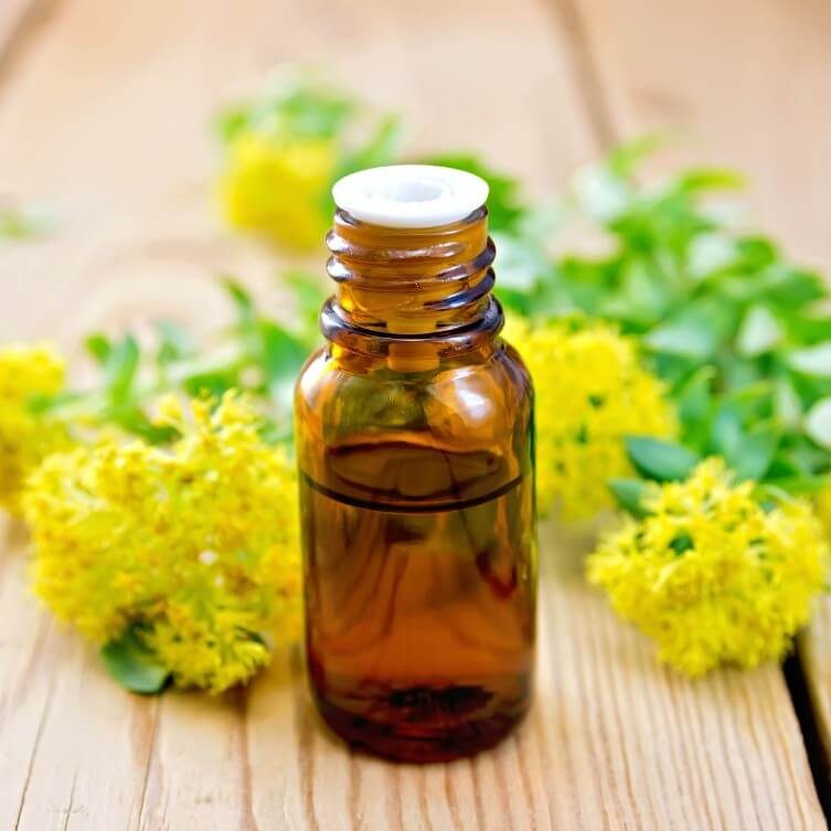 rhodiola rosea rhodiola rosea