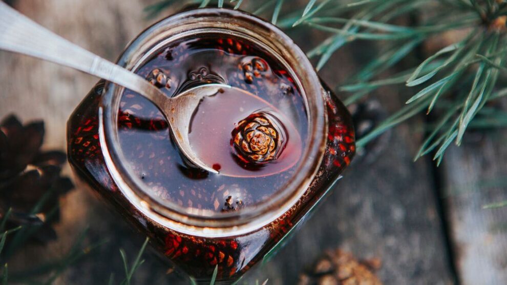 Sosna w kuchni i dla zdrowia 990x556