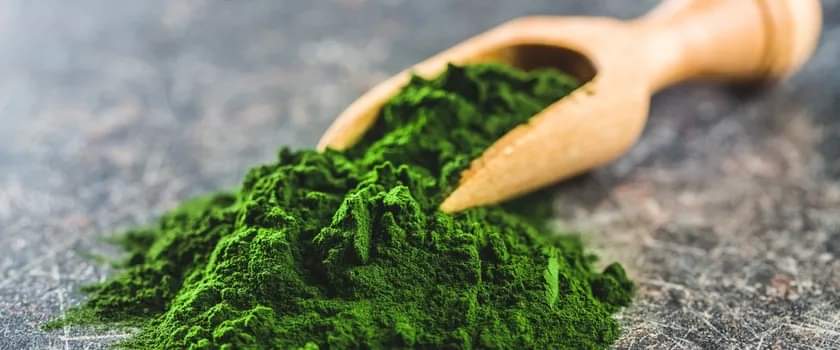 Thumbnail sok suszony z jeczmienia