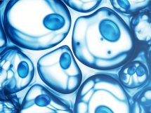 biofotony