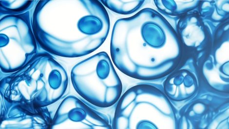 biofotony