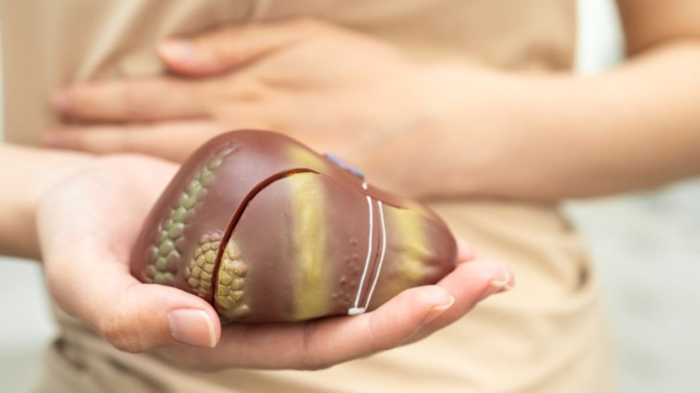 Zioła wspierające wątrobę