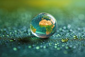 Bioremediacja 300x200