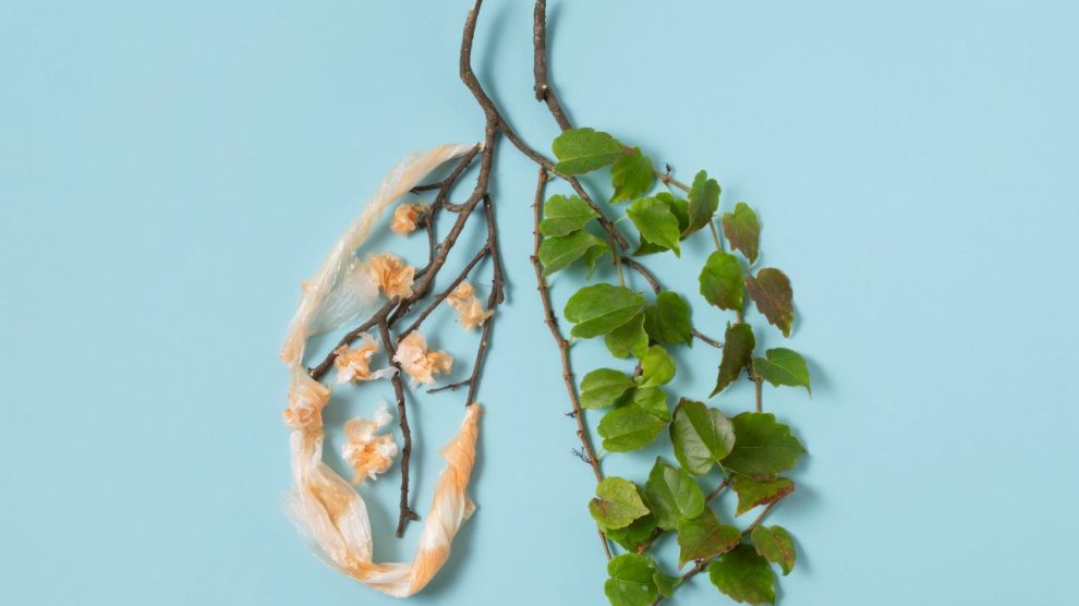 Choroby plucne 990x556