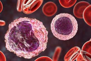 limfocyty T i nagroda Nobla