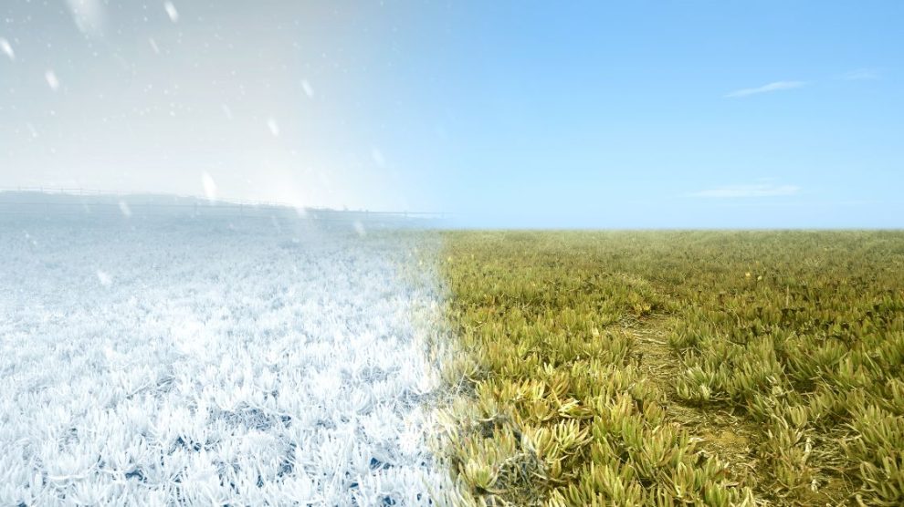 ziołolecznictwo i energia roślin