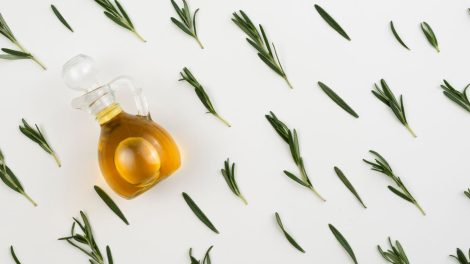 Oregano 470x264