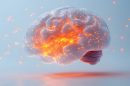 neuroplastyczność