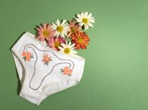 Uklad rozrodczy na bialej bieliznie widok z gory 215x161