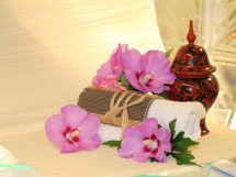 Wellness 991406 1280 215x161