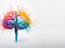 mózg i choroba Alzheimera
