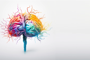 mózg i choroba Alzheimera