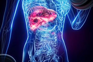 Tłuszcze a wątroba