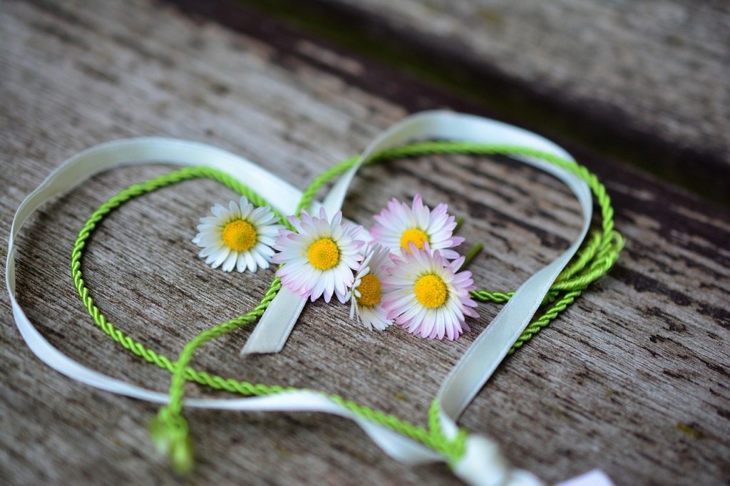 Daisy 3392654 1280 1024x682